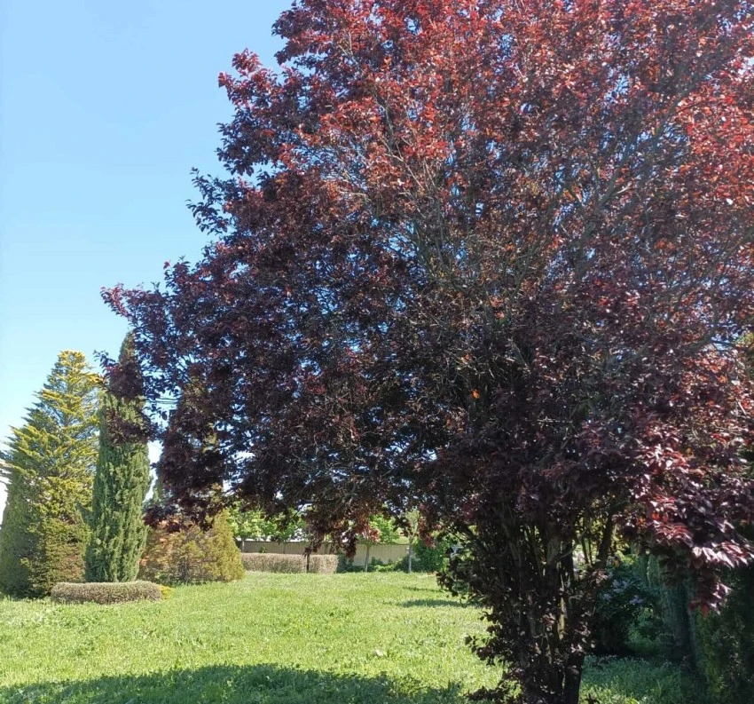 Finca de recreo en Cubillos