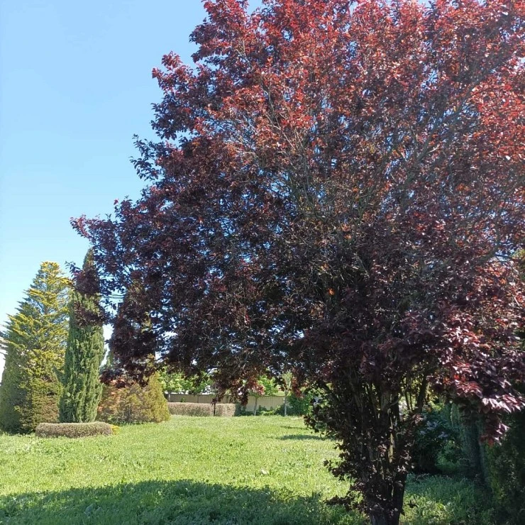 Finca de recreo en Cubillos