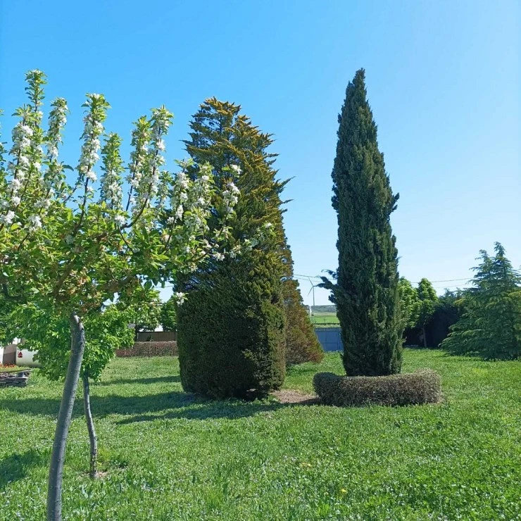 Finca urbana en Cubillos