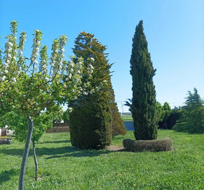 Finca de recreo en Cubillos